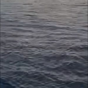 Meet your Posher, Joelle